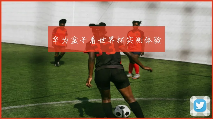 华为盒子看世界杯实测体验