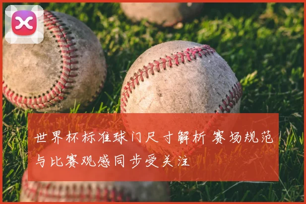 世界杯标准球门尺寸解析 赛场规范与比赛观感同步受关注