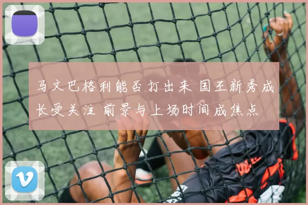 马文巴格利能否打出来 国王新秀成长受关注 前景与上场时间成焦点