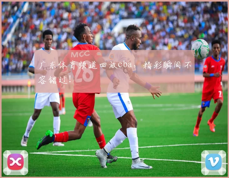 广东体育频道回放cba，精彩瞬间不容错过！