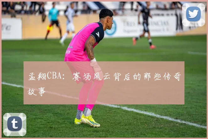 孟翔CBA：赛场风云背后的那些传奇故事