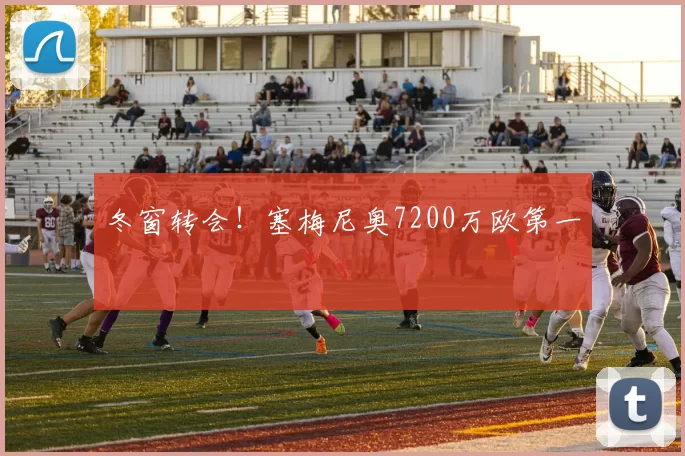 冬窗转会！塞梅尼奥7200万欧第一