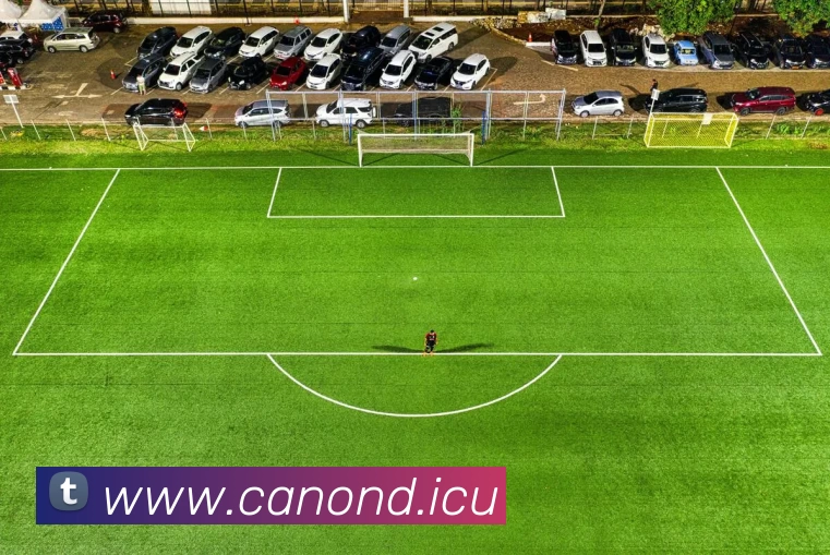 多媒体互动体验